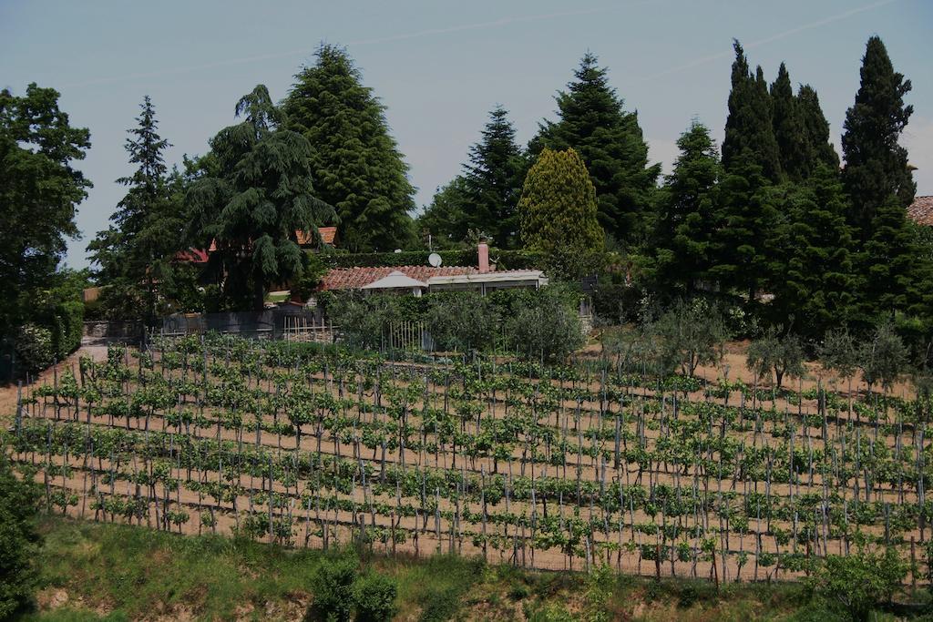 Agriturismo Podere La Fornace Каврилья Экстерьер фото