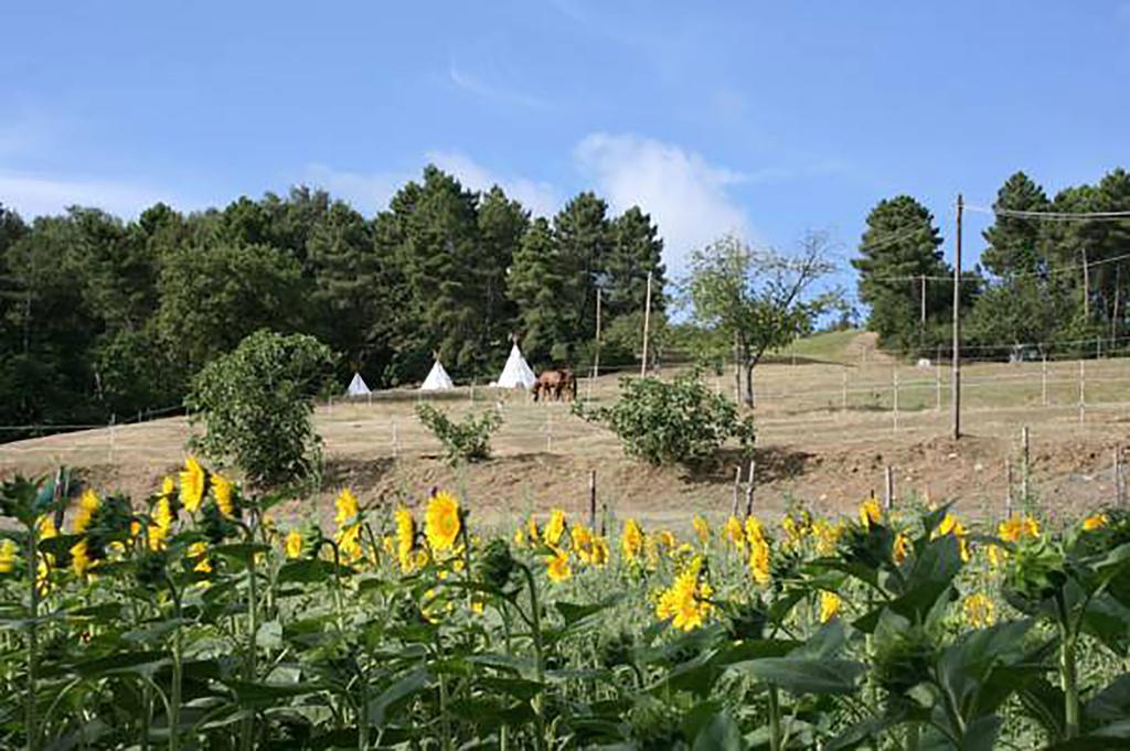 Agriturismo Podere La Fornace Каврилья Экстерьер фото